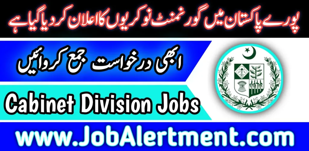 Cabinet division jobs 2024 apply online